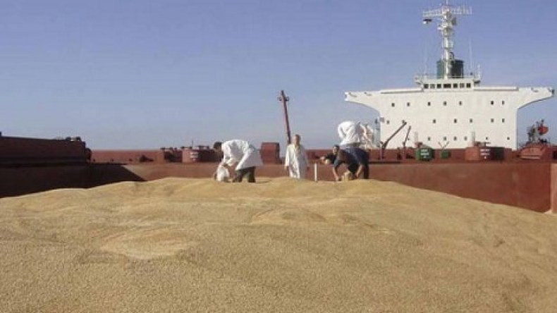 277 مليون دولار فاتورة واردات الجزائر من القمح خلال شهرين