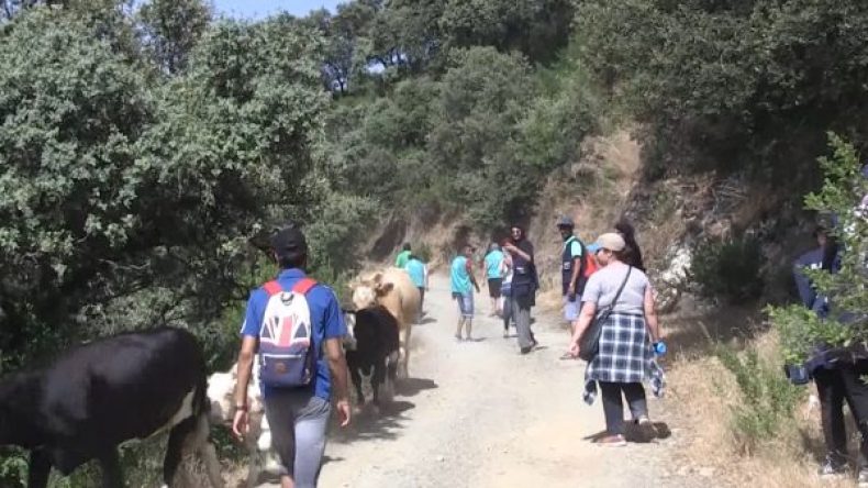 السياحة الجبلية تنتعش من أجل المتعة واكتشاف خبايا الأوراس