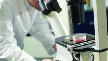 40 000 Algériens atteints du cancer chaque année et le cancer du sein s’est multiplié par cinq