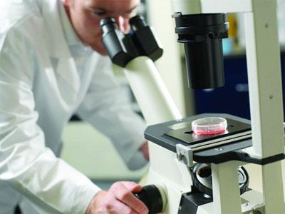 40 000 Algériens atteints du cancer chaque année et le cancer du sein s’est multiplié par cinq