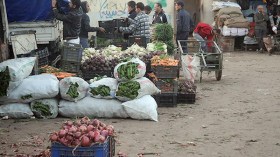 حمّالون بشهادات جامعية للانتقام من البطالة