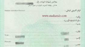 ندرة مطبوعات تعذب المواطنين عند إستخراج شهادات الميلاد الخاصة