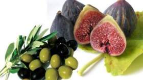 التين والزيتون.. إعجاز ما بعده إعجاز