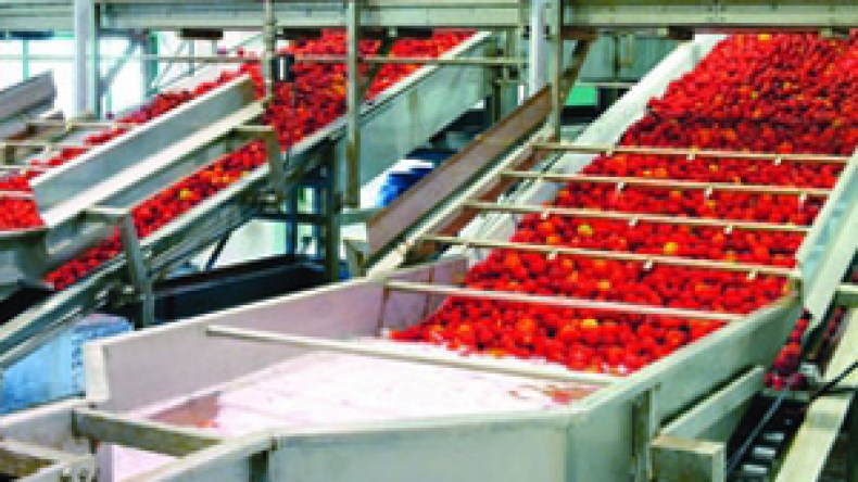 بيع مصنع طماطم قيمته 500 مليار سنتيم مقابل 18 مليارا في ظروف غامضة