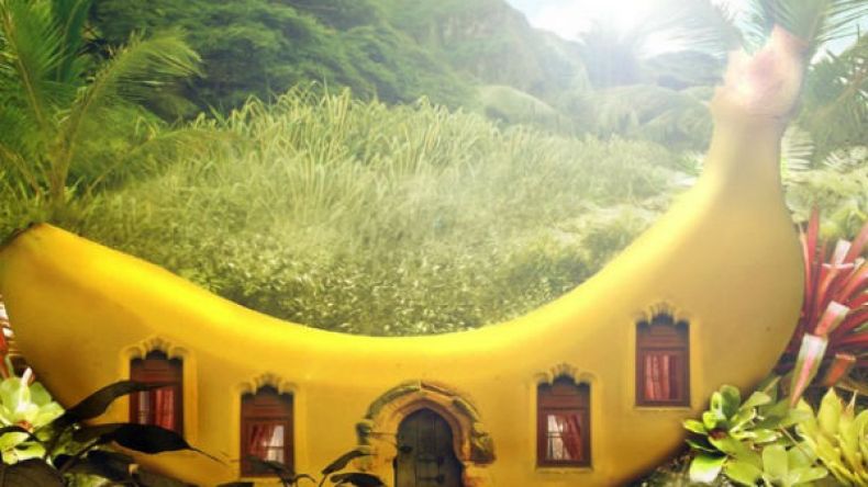 الموز.. فوائد مذهلة وصيدلية متكاملة!