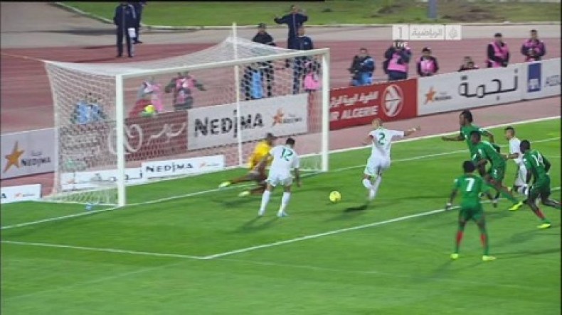 قراء الشروق أون لاين يتوقعون مونديالا مشرّفا للخضر