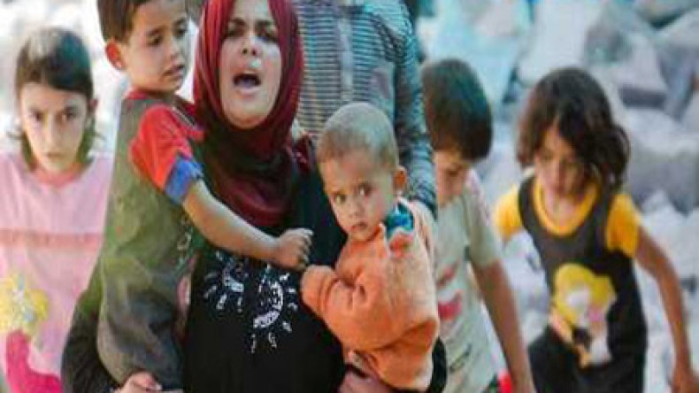 الفاو: 3 ملايين سوري بحاجة إلى الغذاء والمساعدة