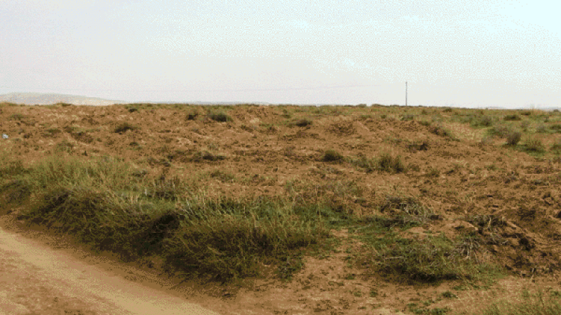 20 ألف هكتار من المحميات السهبية تعرضت لإعتداءات