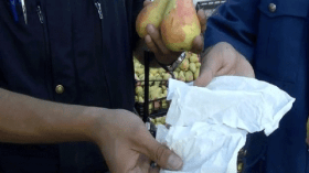 إتلاف إجاص “مصبوغ” كان موجها للاستهلاك في تيزي وزو