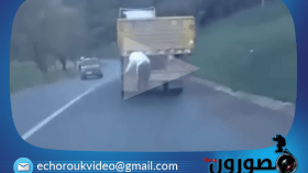 شخص يلتصق بشاحنة في طريق عين تحمامين بين عنابة وسوق اهراس