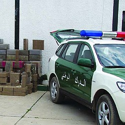 Gendarmerie Detectives Seize Up 22 Quintals of Drug in Ouargla and Ain Tmouchent