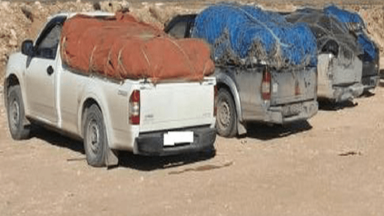 توقيف تسعة مهربين من جنسيات مختلفة وحجز عربة رباعية الدفع بتمنراست