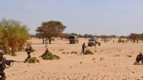 توقيف مهرب وحجز بندقية ووقود بعين قزام