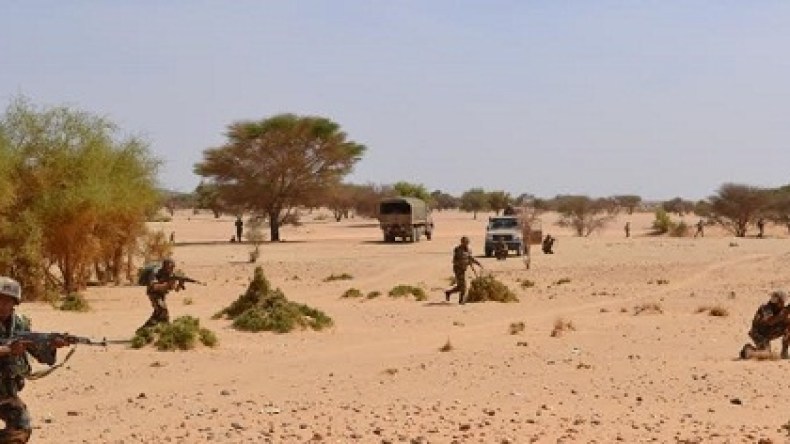 توقيف مهرب وحجز بندقية ووقود بعين قزام