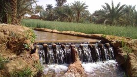 الفقارة إرث ثقافي وسياحي في طريقه إلى الاندثار بأدرار