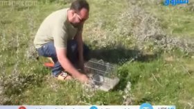 أول عملية إطلاق  للمقنين في الجزائر