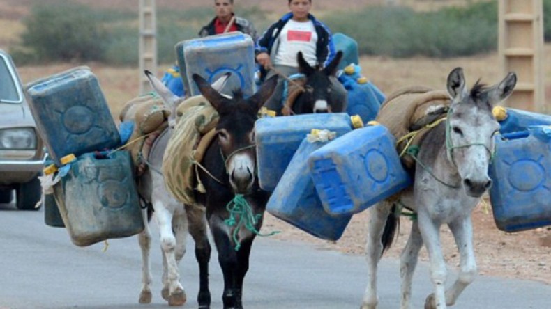 سكان قرية بوخازم بالبويرة يلجؤون إلى الأحمرة لجلب المياه