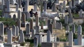 سحرة‭ ‬ينبشون‭ ‬القبور‭ ‬ويبترون‭ ‬ذراعا‭ ‬وكفا‭ ‬من‭ ‬جثتين‭ ‬بتيبازة