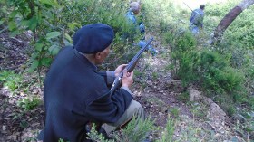 جمعيات القنص تطلب الترخيص لمحاربة الخنازير بالطارف