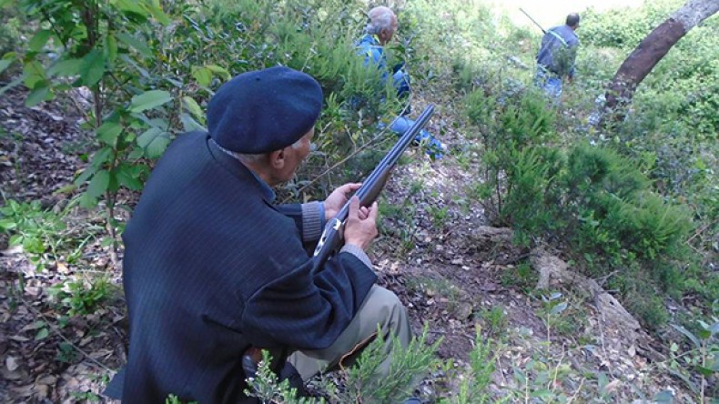 جمعيات القنص تطلب الترخيص لمحاربة الخنازير بالطارف