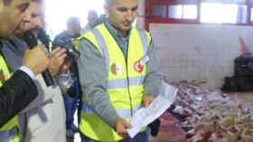 أتراك يتبرعون بـ650 كبش و20 بقرة للعائلات المعوزة