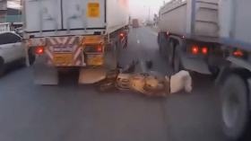 شخص ينجو من حادث مرور بأعجوبة