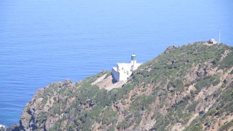 البحر يلفظ 31 كلغ من المخدرات بجيجل