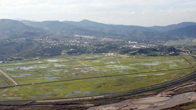 مكتب إسباني لتحضير مناقصات إنجاز مركب الحديد ببلارة