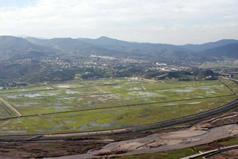 Algeria: “Bellara” steel complex in Jijel set to be launched by mid-March 2015