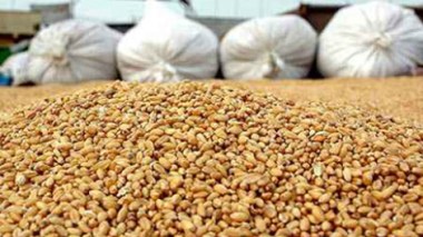 Government imported new quantities of wheat to meet national consumption until 2014