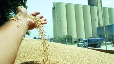 Union of Free Algerian Peasants: “Millions of Grains' Quintals Face Damage due to the Weak Storage”