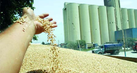 Union of Free Algerian Peasants: “Millions of Grains' Quintals Face Damage due to the Weak Storage”