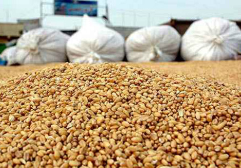 Algeria imports 80% of its food from the French bad wheat