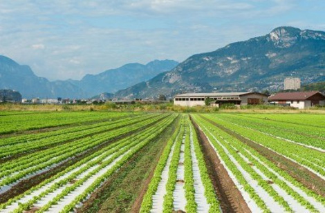 30,000 jobs in Italy tempt Algerians