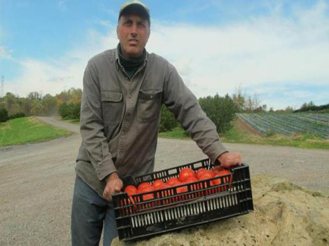 Italy:Algerians work in agriculture, animal husbandry and alcoholics' industry