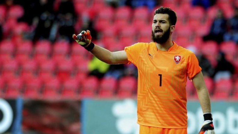 Christian Gourcuff Is Not Satisfied With M'bolhi, Hires New Goalkeeper