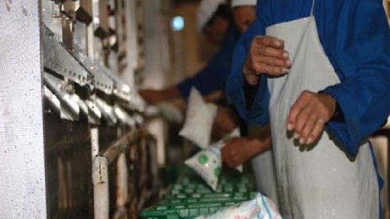 تنظيم جديد لإنتاج وتسويق حليب الأكياس المبستر