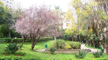 French experience to restore old buildings and gardens in Algiers