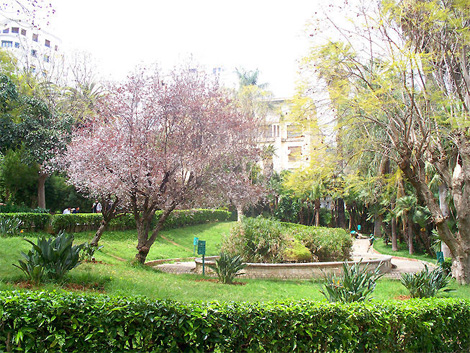 French experience to restore old buildings and gardens in Algiers