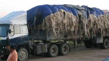 African Illegal Immigrants Smuggle Cattle Skins Southern Algeria