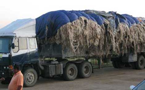 African Illegal Immigrants Smuggle Cattle Skins Southern Algeria