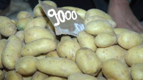 ديوان الخضر واللحوم يبرر: ارتفاع الأسعار ظرفي