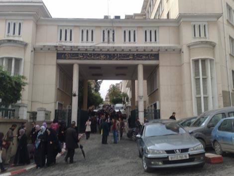 Algeria: 80% of undergraduate students dismally lack fluency in Arabic