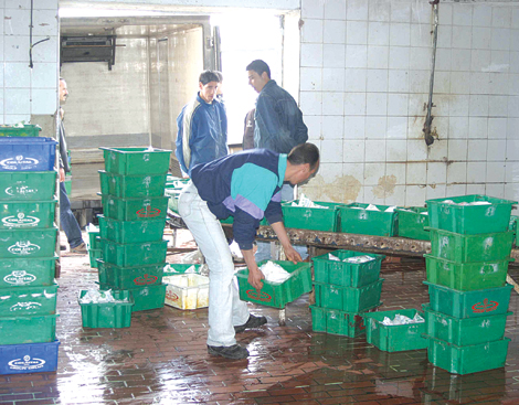 Algeria lost $15 b since 2003 due to the Milk “Crisis”