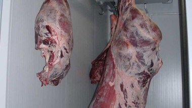 Frozen meat from Brazil and India to break prices in Ramadan