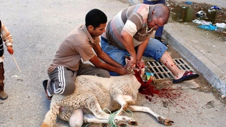 طوارئ بـ12 ولاية بسبب رمي مخلفات الأضاحي بقنوات الصرف