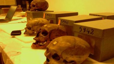 L'Humanité appelle à la fin du “séquestre” des 36 crânes de martyrs algériens