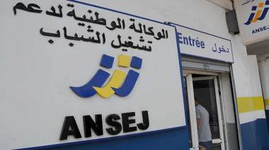 ANSEJ : Plus de 450 micro-entreprises en phase de création