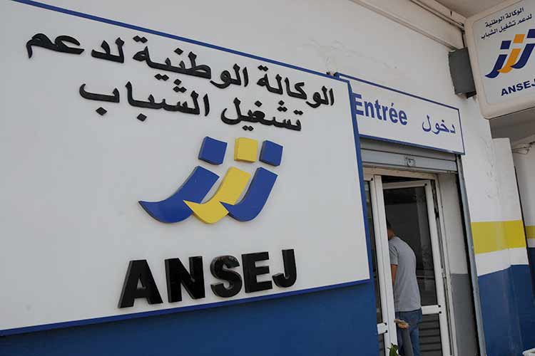 ANSEJ : Plus de 450 micro-entreprises en phase de création