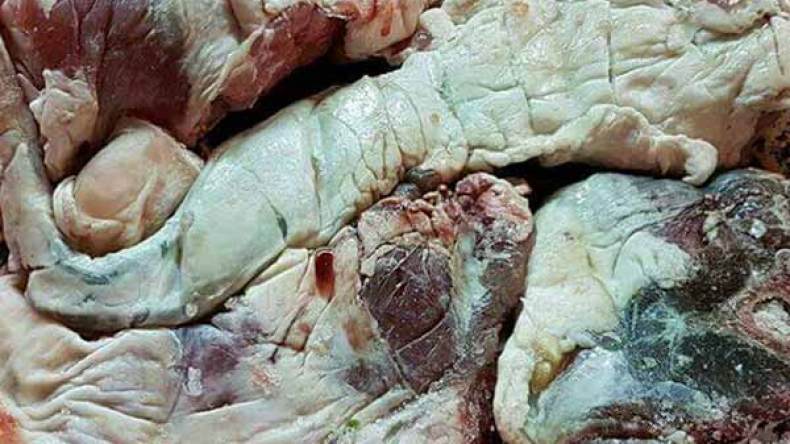 المتضررون من تعفن لحوم الأضاحي يطالبون بالتعويض